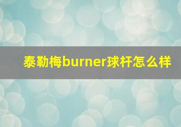 泰勒梅burner球杆怎么样