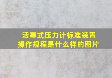 活塞式压力计标准装置操作规程是什么样的图片