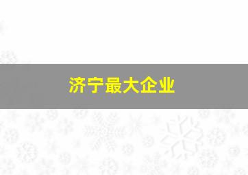 济宁最大企业