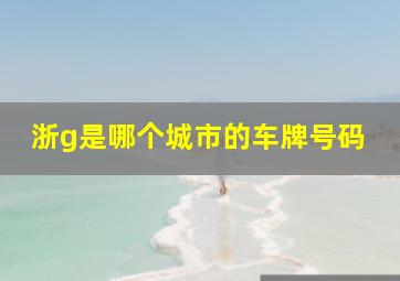 浙g是哪个城市的车牌号码