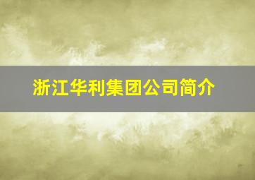 浙江华利集团公司简介