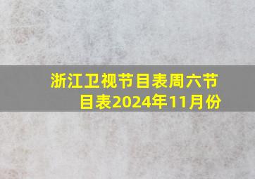 浙江卫视节目表周六节目表2024年11月份