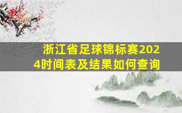 浙江省足球锦标赛2024时间表及结果如何查询