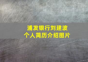 浦发银行刘建波个人简历介绍图片