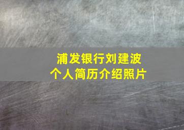 浦发银行刘建波个人简历介绍照片