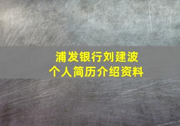 浦发银行刘建波个人简历介绍资料