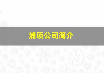 浦项公司简介