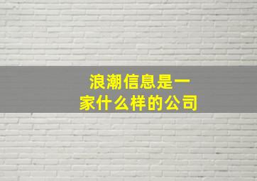 浪潮信息是一家什么样的公司