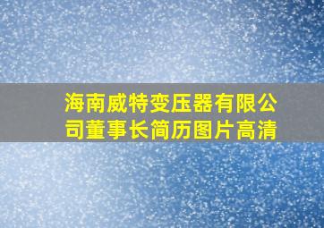 海南威特变压器有限公司董事长简历图片高清