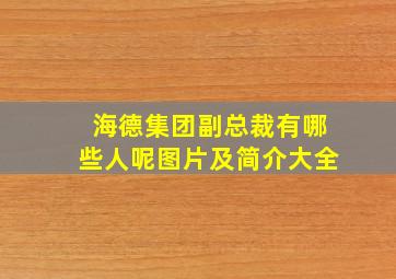 海德集团副总裁有哪些人呢图片及简介大全