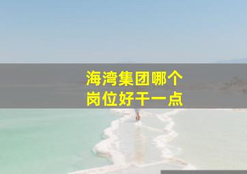 海湾集团哪个岗位好干一点