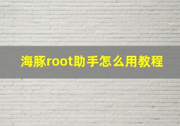 海豚root助手怎么用教程