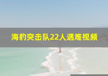 海豹突击队22人遇难视频