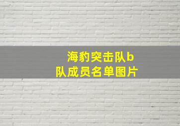 海豹突击队b队成员名单图片