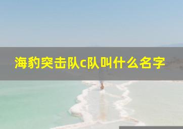 海豹突击队c队叫什么名字