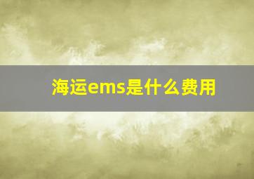 海运ems是什么费用