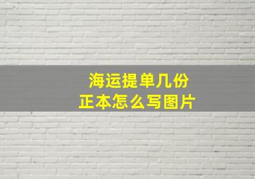 海运提单几份正本怎么写图片