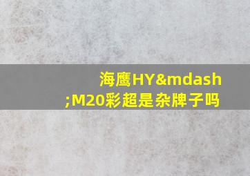 海鹰HY—M20彩超是杂牌子吗