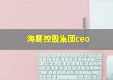 海鹰控股集团ceo