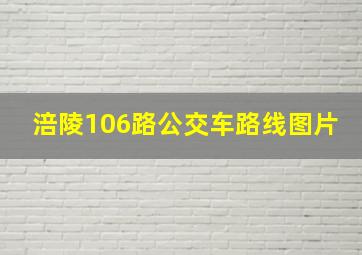 涪陵106路公交车路线图片