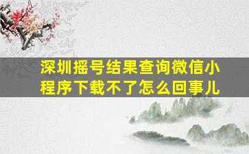 深圳摇号结果查询微信小程序下载不了怎么回事儿