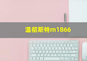 温彻斯特m1866