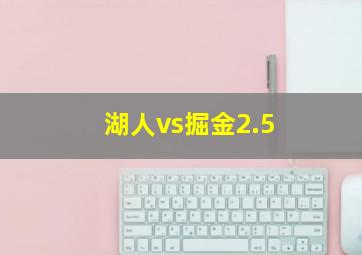 湖人vs掘金2.5