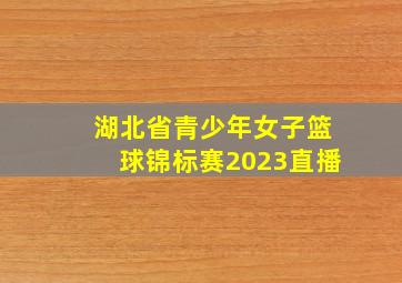 湖北省青少年女子篮球锦标赛2023直播