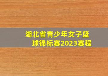 湖北省青少年女子篮球锦标赛2023赛程