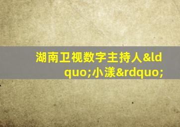 湖南卫视数字主持人“小漾”