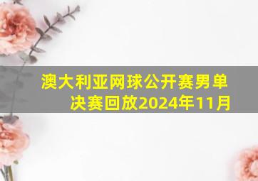 澳大利亚网球公开赛男单决赛回放2024年11月