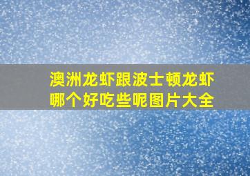 澳洲龙虾跟波士顿龙虾哪个好吃些呢图片大全