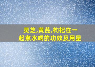 灵芝,黄芪,枸杞在一起煮水喝的功效及用量