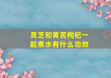 灵芝和黄芪枸杞一起煮水有什么功效