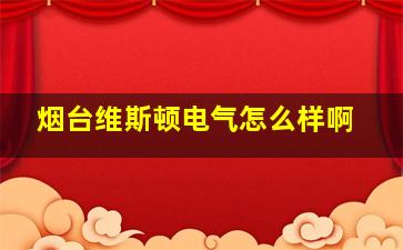 烟台维斯顿电气怎么样啊