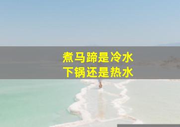 煮马蹄是冷水下锅还是热水