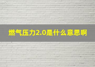 燃气压力2.0是什么意思啊