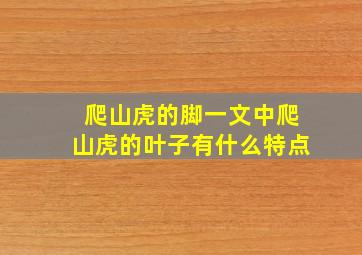 爬山虎的脚一文中爬山虎的叶子有什么特点