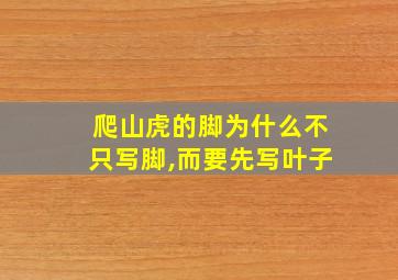 爬山虎的脚为什么不只写脚,而要先写叶子