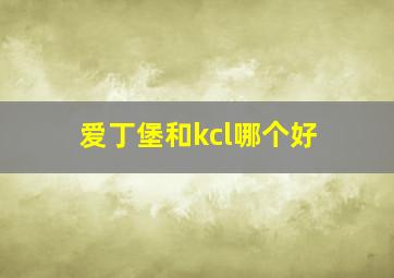 爱丁堡和kcl哪个好