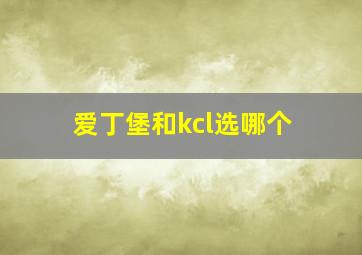 爱丁堡和kcl选哪个