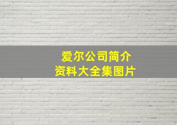 爱尔公司简介资料大全集图片