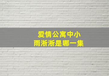 爱情公寓中小雨淅淅是哪一集