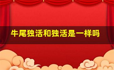 牛尾独活和独活是一样吗