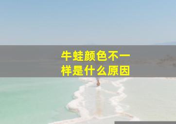 牛蛙颜色不一样是什么原因