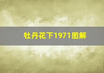 牡丹花下1971图解