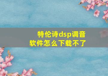 特伦诗dsp调音软件怎么下载不了