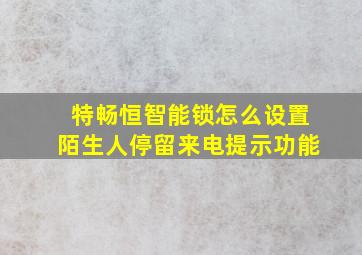 特畅恒智能锁怎么设置陌生人停留来电提示功能