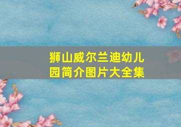 狮山威尔兰迪幼儿园简介图片大全集