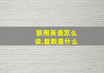 狼用英语怎么读,复数是什么